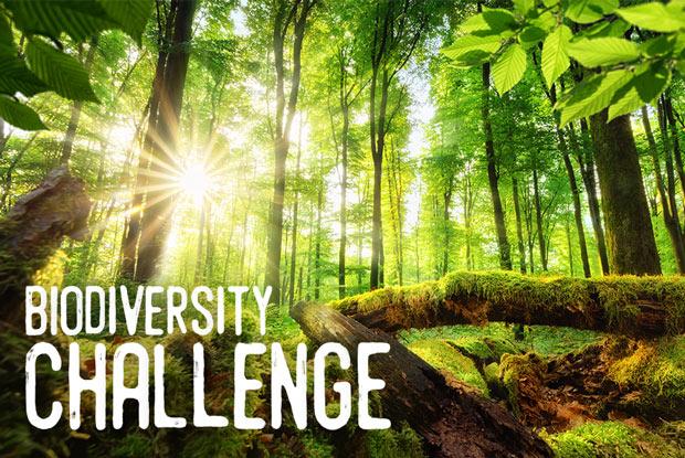 Biodiversity Challenge