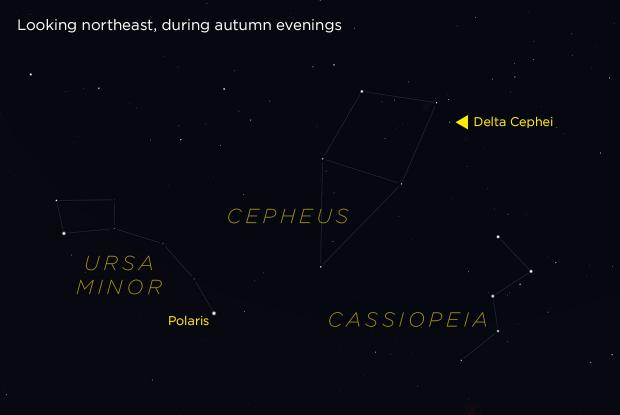 Delta Cephei (annotated)