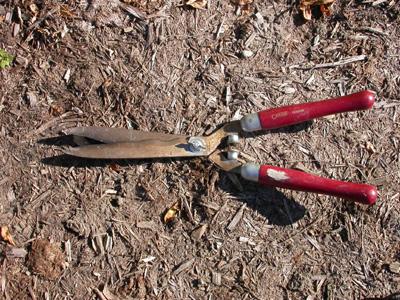 Hand shears