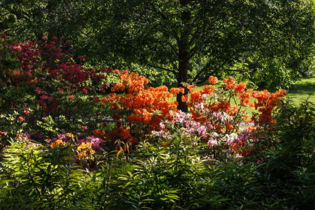 Jardin Leslie-Hancock 