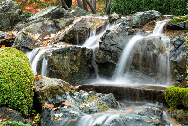 A cascade of water in the Japanese garden