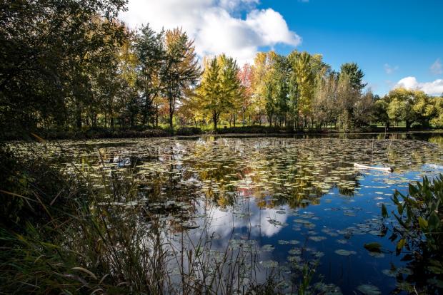 Autumn colors at the First Nations Garden