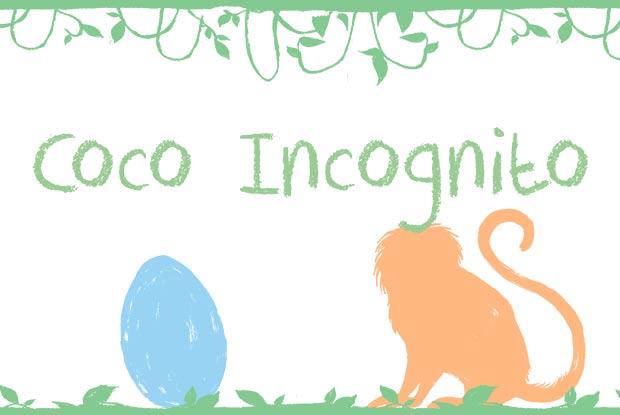 Coco Incognito