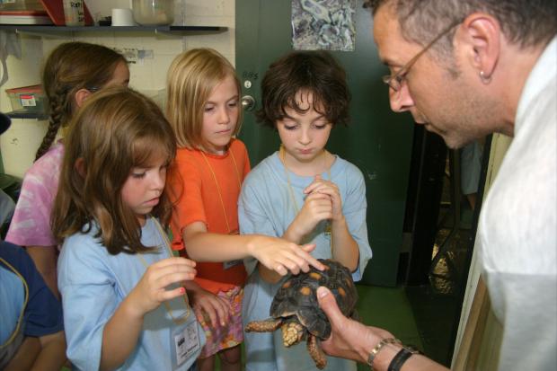 Touchatouts Day Camp.