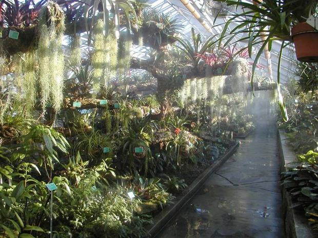 Serre de la forêt tropicale humide