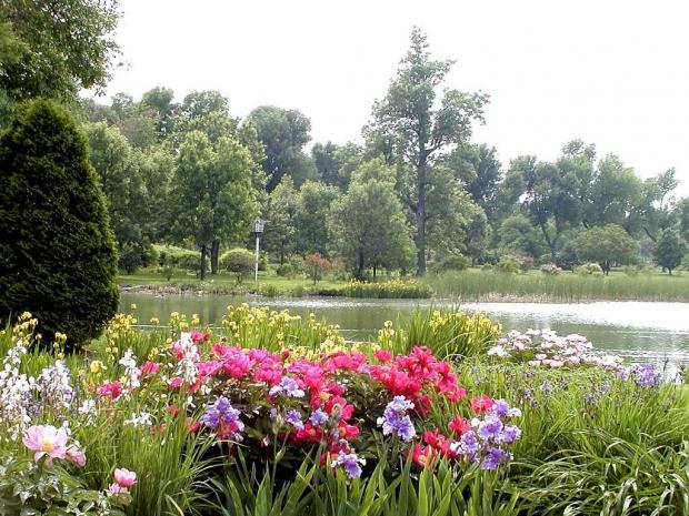Flowery Brook and Ponds