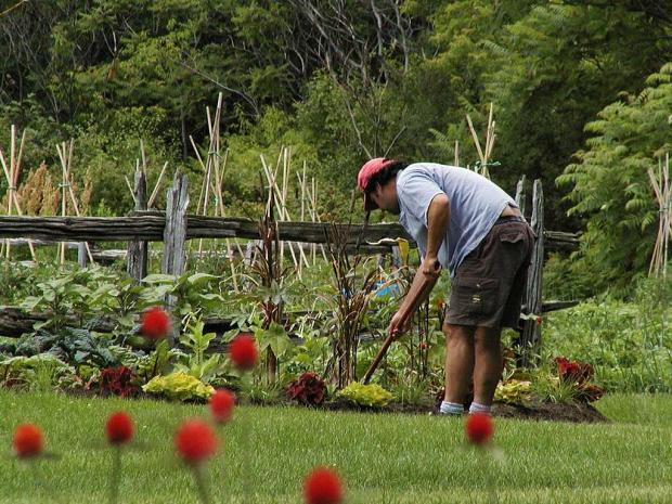 Applying fertilizer