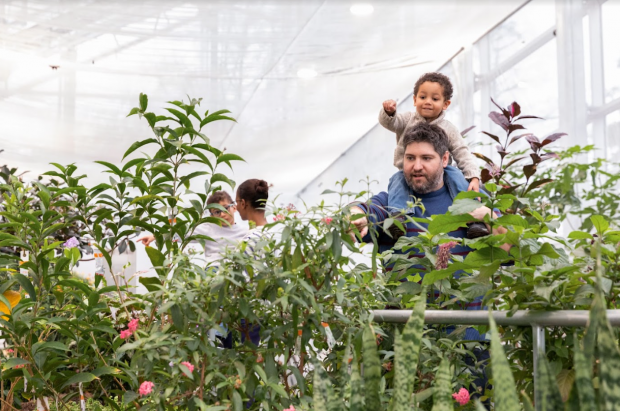 Une famille s’amuse à chercher des papillons dans la végétation du Grand Vivarium.