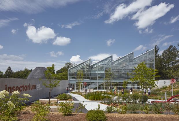 The new Insectarium: in symbiosis with nature