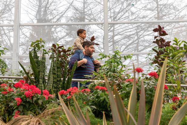 The new Insectarium: in symbiosis with nature