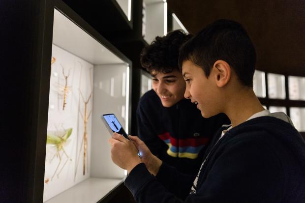 Deux jeunes consultent l’application mobile pour identifier les insectes de l'Insectarium.