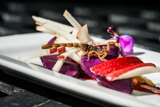 L'entomophagie : une révolution alimentaire