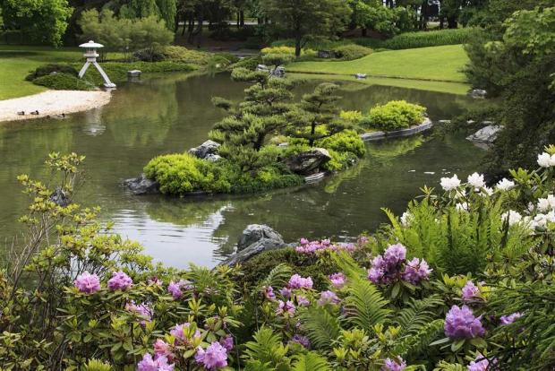 Jardin japonais
