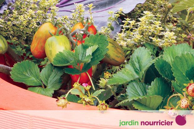 Jardin nourricier avec logo