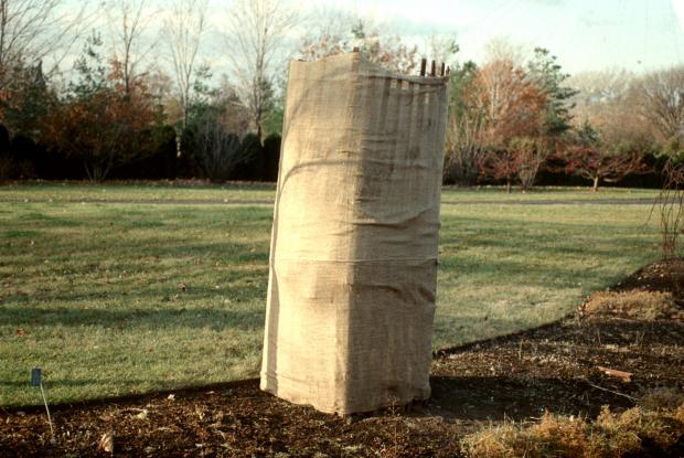 Wooden snow fence and jute canvas