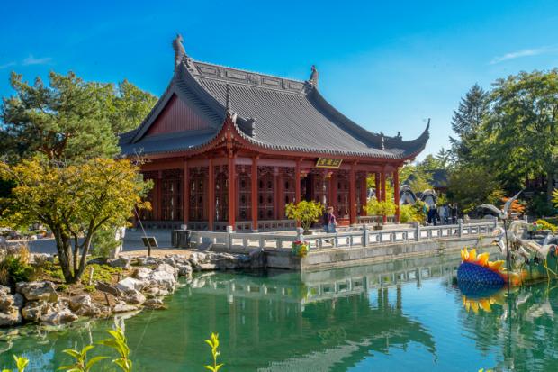 Chinese garden