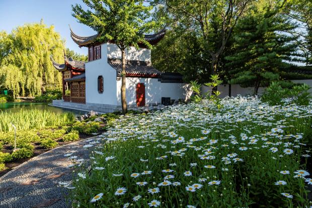 Chinese garden
