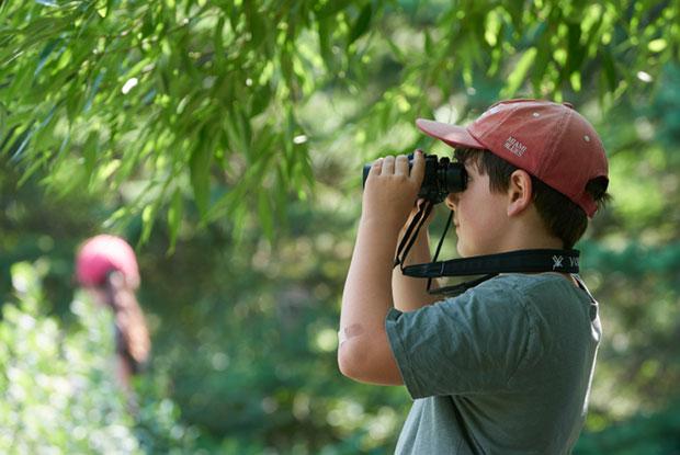 A boy looks at nature through binoculars