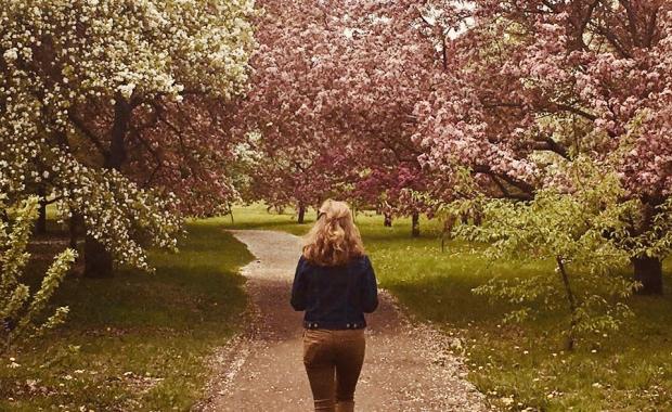 Une étude de la mobilité sur le site du Jardin botanique