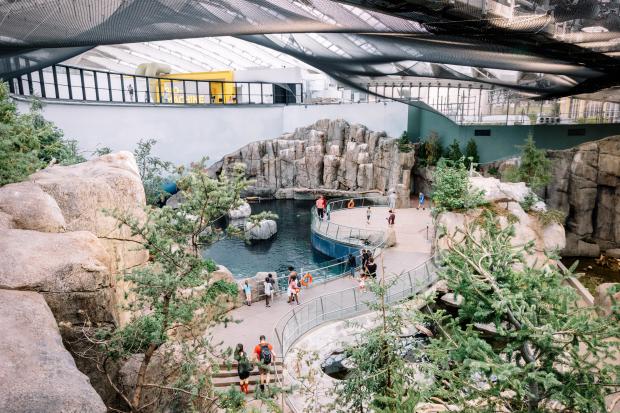 The Gulf of St. Lawrence at the Biodôme