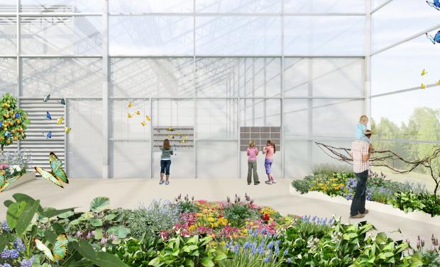 Insectarium’s Metamorphosis