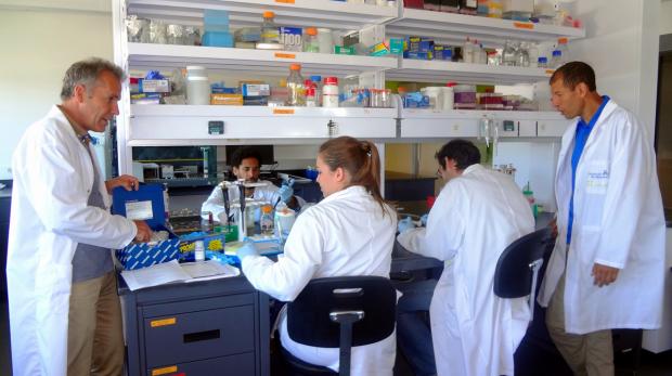 Michel Labrecque en discussion avec des étudiants au laboratoire. À l’extrême droite, le professeur Mohamed Hijri de l’IRBV.