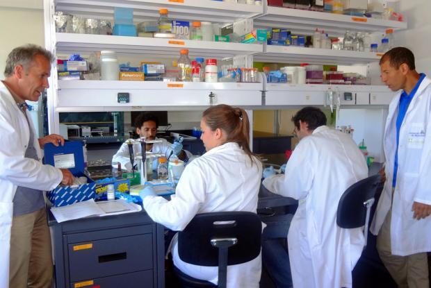 Michel Labrecque in discussion with students in the laboratory. On the far right, Professor Mohamed Hijri of IRBV.