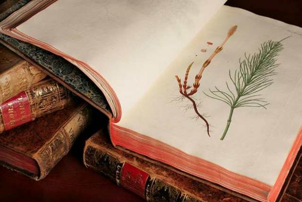 Botanical Garden Library's collection of rare books Botanical Garden Library's collection of rare books: Flora Danica