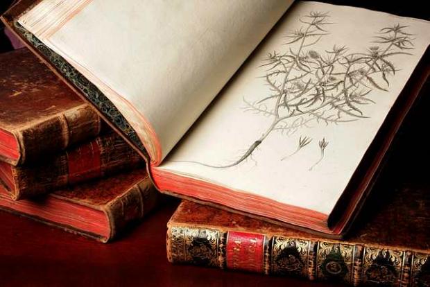 Botanical Garden Library's collection of rare books Botanical Garden Library's collection of rare books: Flora Danica