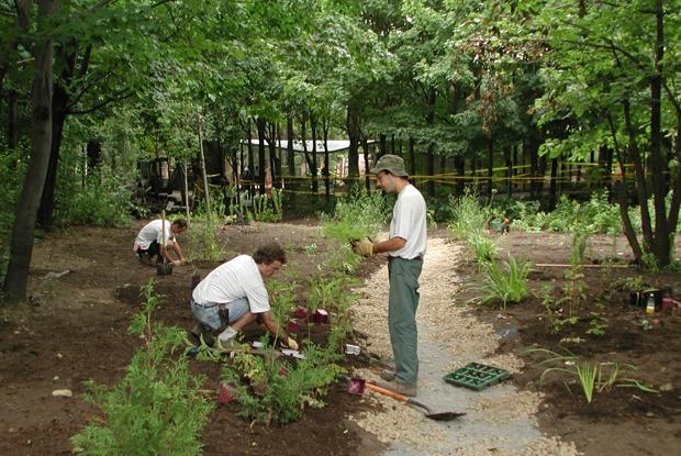 Construction of the First Nations Garden