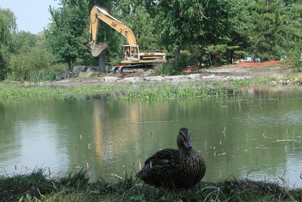 Construction of the First Nations Garden
