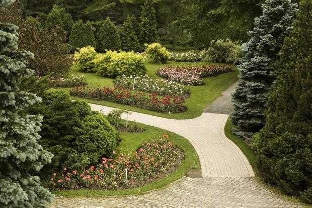 Rose Garden
