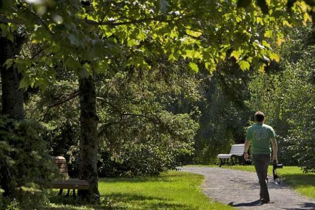 Walking in the Botanical Garden