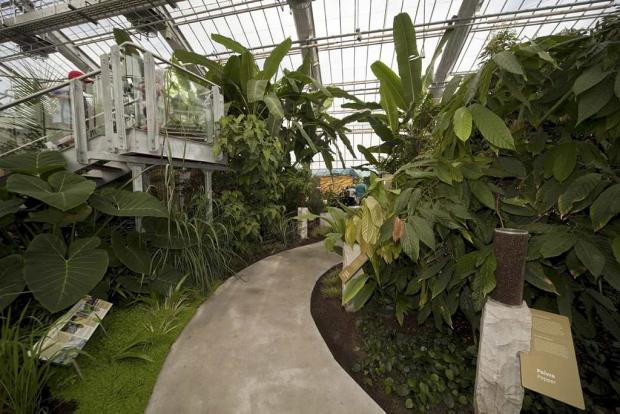 Tropical Food Plants Greenhouse
