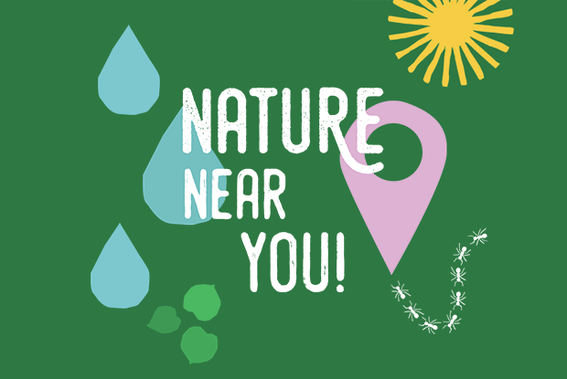 Nature near you
