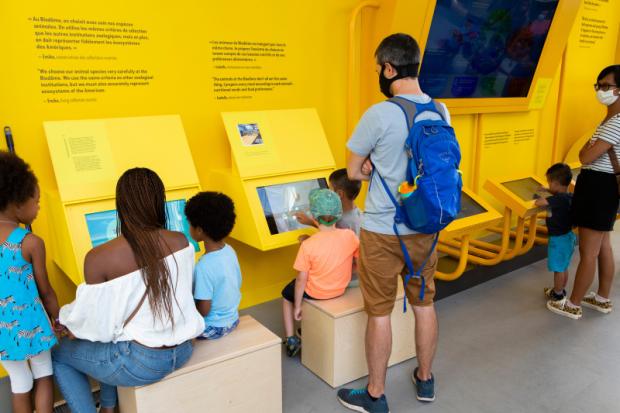 A behind-the-scenes exhibit on the Biodôme