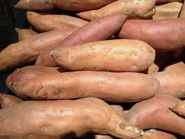 Sweet potato