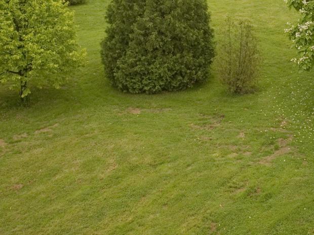 Espaces dénudés sur la pelouse