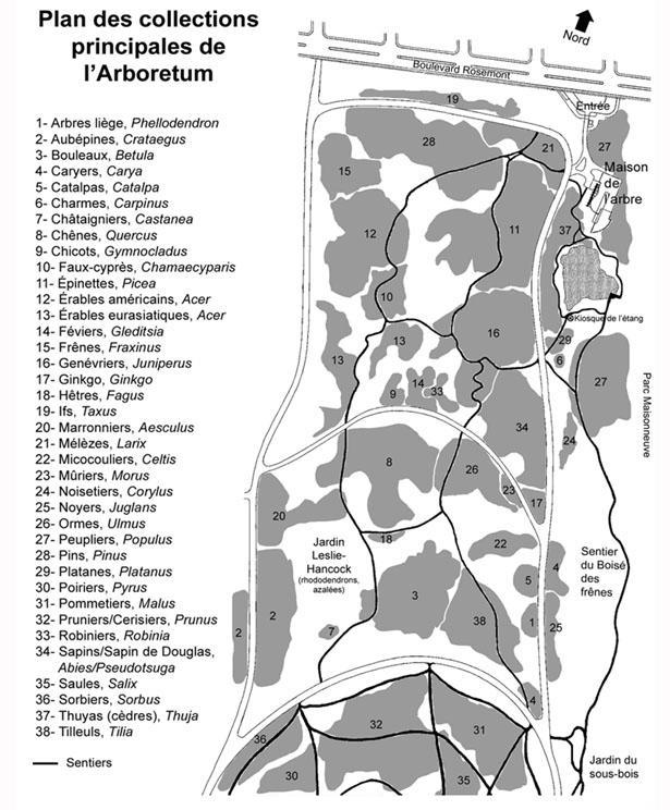 Plan - Arboretum