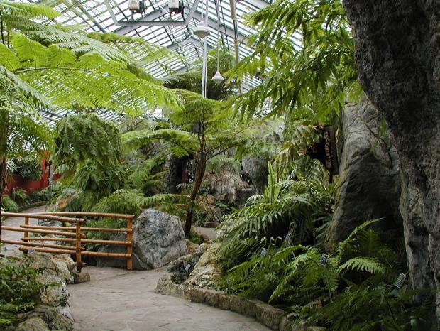 General view of the Ferns Greenhouse in which the bamboo bridge can be seen.