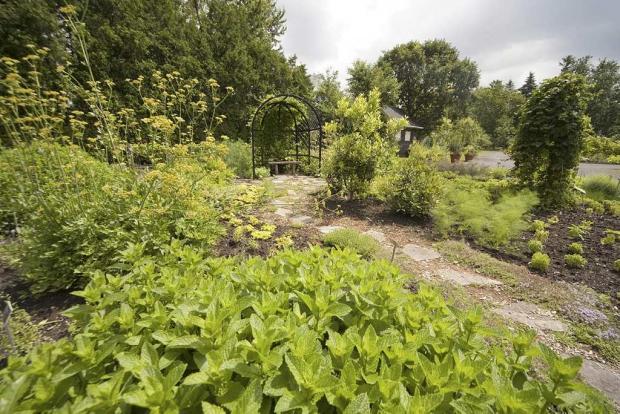 Ornemental garden
