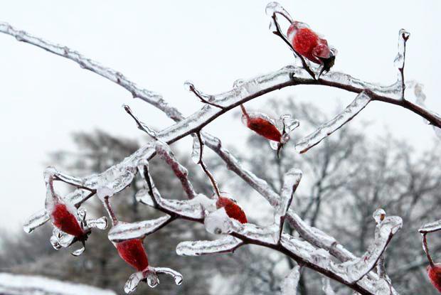 Questions populaires - hiver