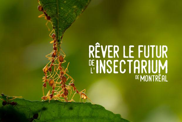 Rêver l’Insectarium 2021-2025