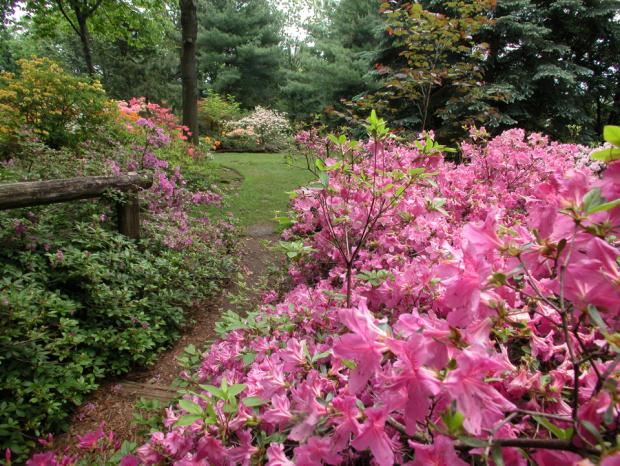 Leslie Hancok Garden