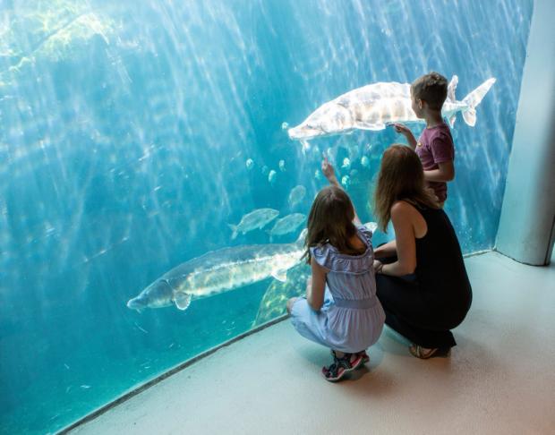 The Gulf of St. Lawrence at the Biodôme