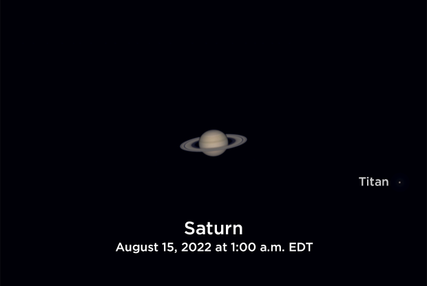 Simulated view of Saturn through a small telescope on opposition night 2022