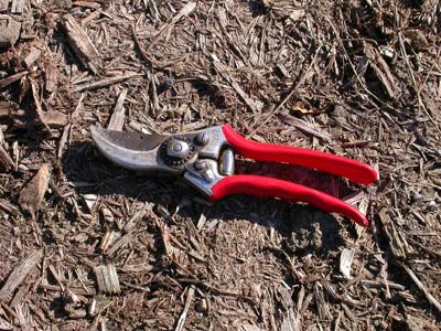 Hand secateur
