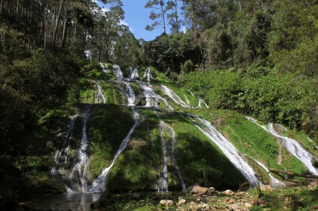 Waterfall at La Visite National Park in Haiti, where a number of Gesneriaceae live in the cloud forests.