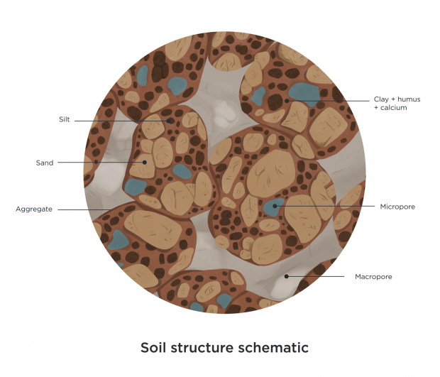 Soil structure schematic