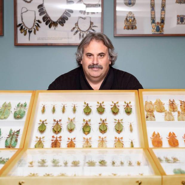 Stéphane Le Tirant devant des vitrines d'insectes naturalisés